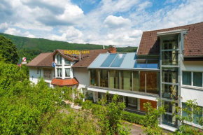 Hotels in Neckarsteinach